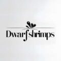 Dwarf Shrimps Logo