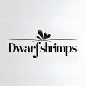 cropped-Dwarf-Shrimps-Logo.jpg Dwarf Shrimps Logo